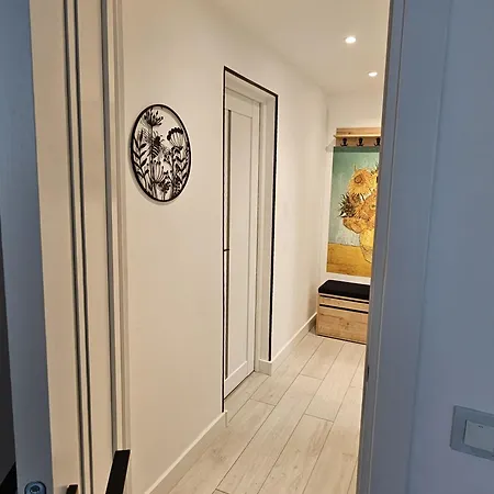 Art Boutique - Business Ready & Mid-term *