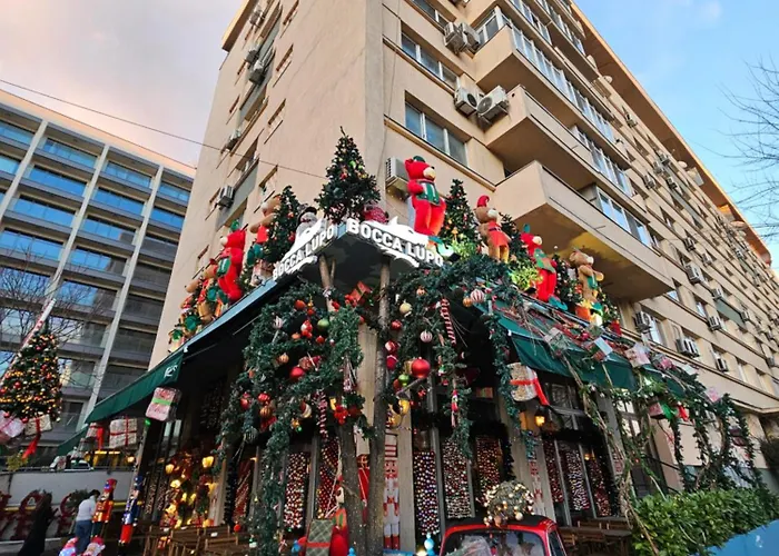 Art Boutique - Business Ready & Mid-term