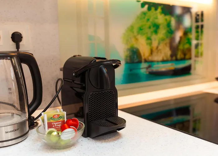 Art Boutique - Business Ready & Mid-term * Bucureşti